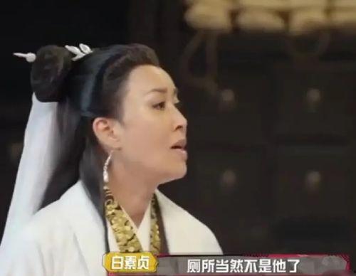 娱乐吃瓜爆料杨紫视频,娱乐吃瓜爆料，精彩瞬间大盘点