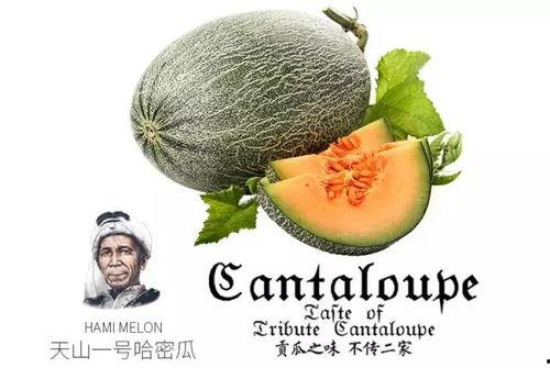 娱乐吃瓜设计理念是什么,揭秘娱乐圈幕后故事，带你领略趣味横生的娱乐圈生态