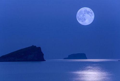 月亮吃瓜娱乐说,揭秘娱乐圈幕后故事