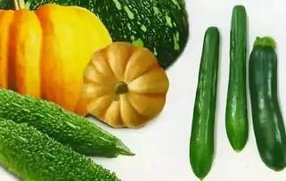 娱乐吃瓜作品推荐,吃瓜群众必看的幕后故事