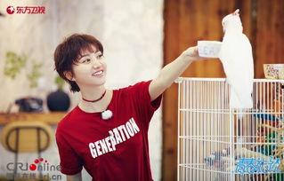 王源吃瓜娱乐圈,娱乐圈吃瓜背后的故事