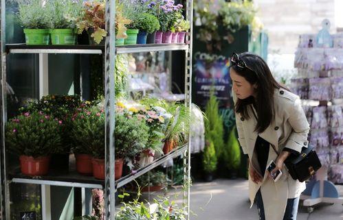娱乐吃瓜酱花店,吃瓜酱花店背后的秘密花园
