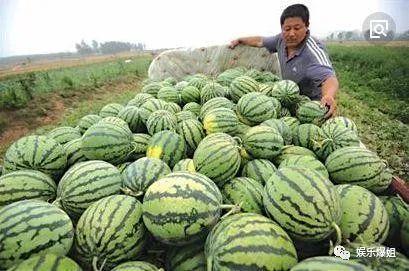 这几年吃的娱乐瓜,盘点近年热门娱乐瓜