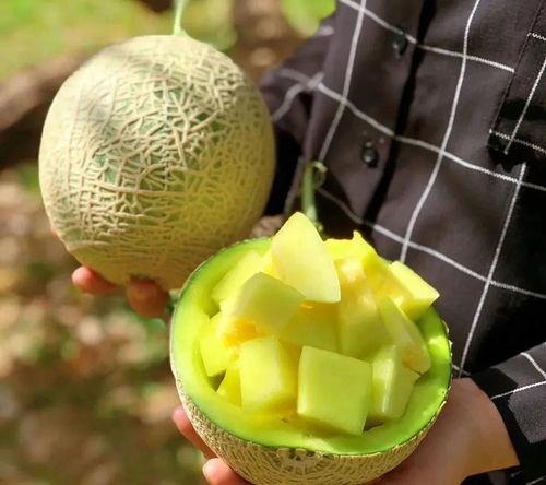 这几年吃的娱乐瓜,盘点近年热门娱乐瓜