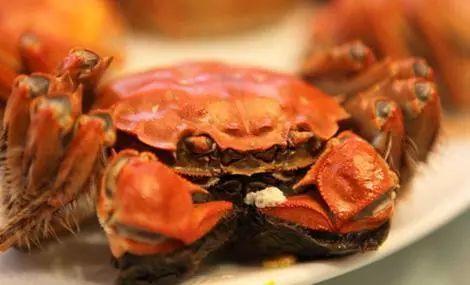 娱乐吃瓜君大闸蟹,大闸蟹背后的故事与魅力