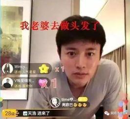 娱乐圈吃瓜大盘点,揭秘明星幕后故事与热点事件