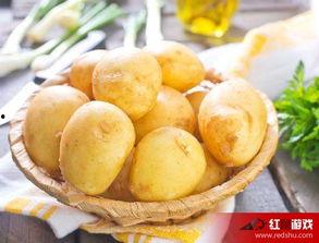 娱乐吃瓜小金土豆,揭秘吃瓜群众背后的土豆人生